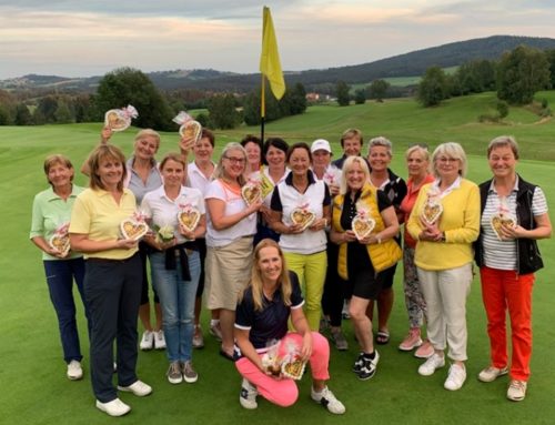 Sunflower-Season im Golfclub am Nationalpark