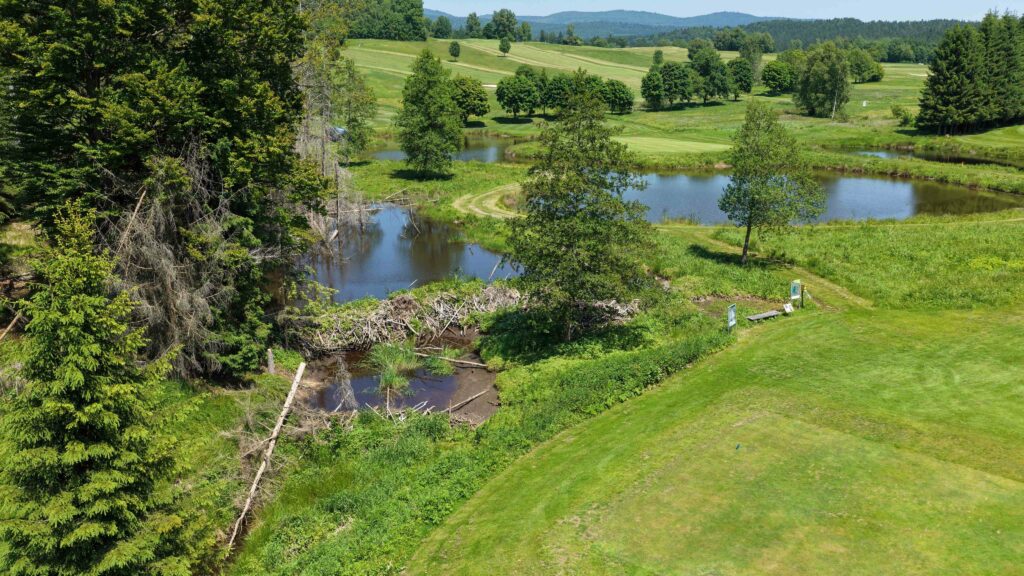 Biber am Golfclub am Nationalpark Bayrischer Wald e.V.